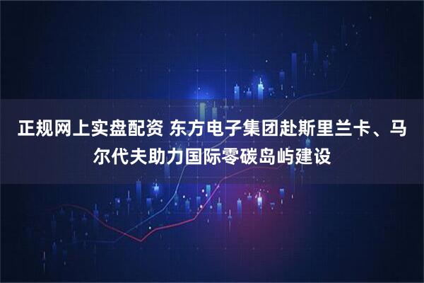 正规网上实盘配资 东方电子集团赴斯里兰卡、马尔代夫助力国际零碳岛屿建设