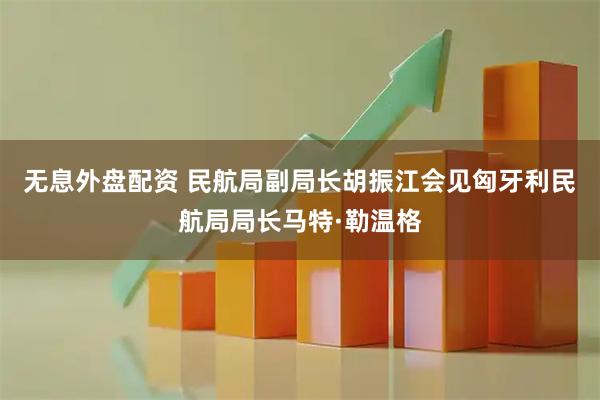 无息外盘配资 民航局副局长胡振江会见匈牙利民航局局长马特·勒温格